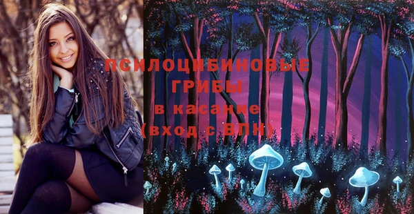 стафф Куйбышев